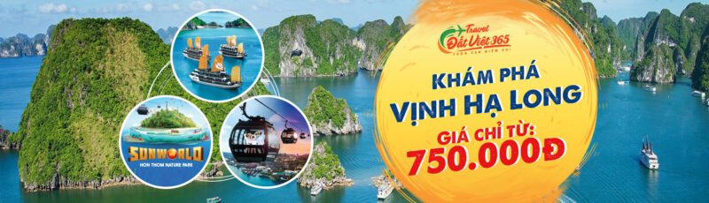 Thuê Xe Hợp Đồng Tại Bình Dương