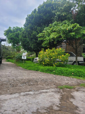 không gian yên tỉnh Xanh